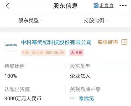 寒武紀南京新公司成立，強化人工智能軟件開發布局